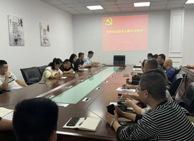 景德鎮(zhèn)長運:開展黨員亮身份、承諾踐諾主題黨日活動